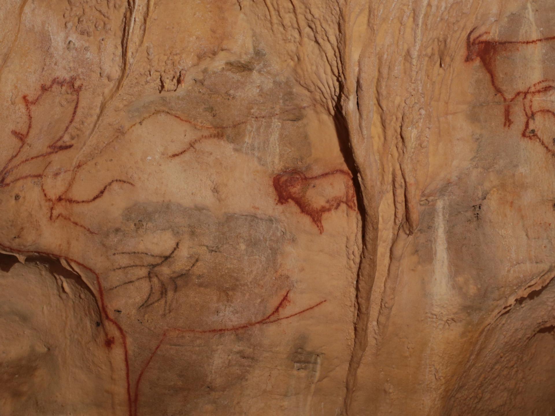 Peintures préhistoriques dans les Grottes de Cougnac à Payrignac